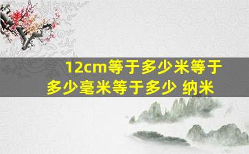 12cm等于多少米等于多少毫米等于多少 纳米